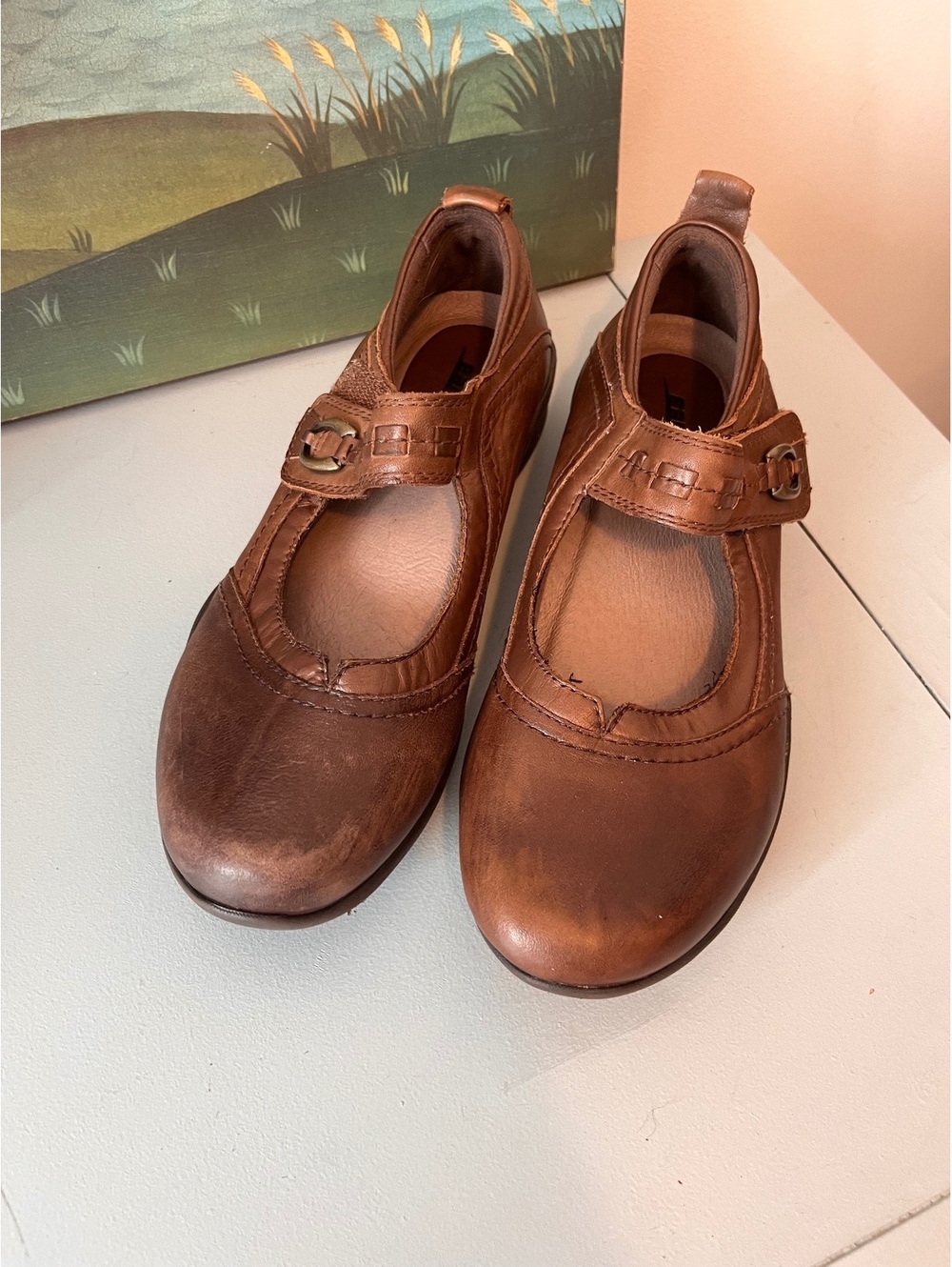 Earth Angelica Brown Leather Comfort Pod Mary Jane’s Sandals 8